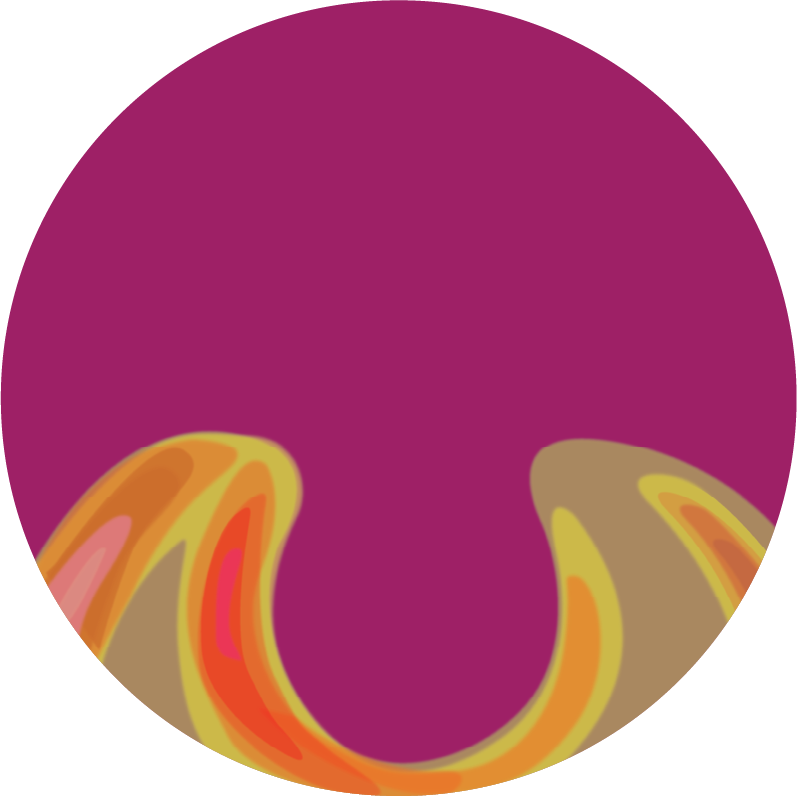 Lens Visual